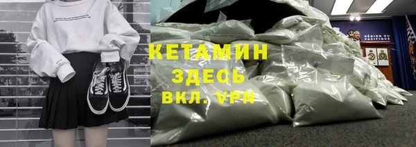 шишки Белоозёрский