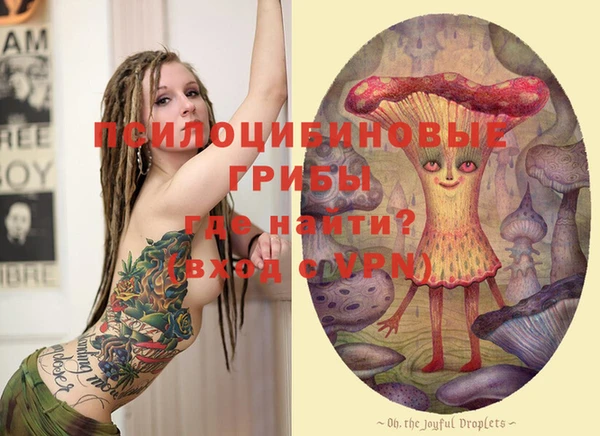 шишки Белоозёрский