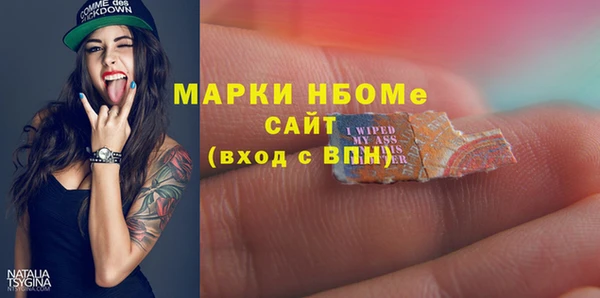 шишки Белоозёрский