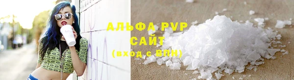 шишки Белоозёрский