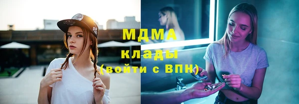 шишки Белоозёрский