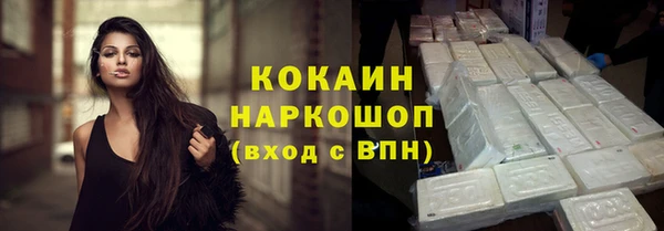 шишки Белоозёрский