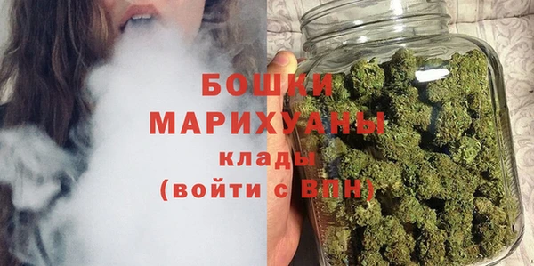 шишки Белоозёрский