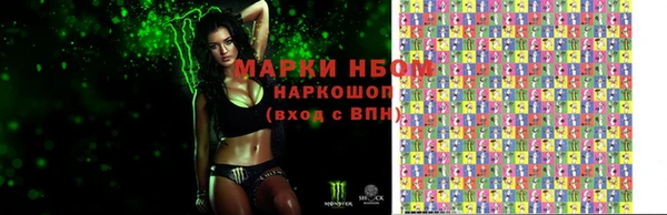 шишки Белоозёрский