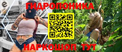 гашик Новокубанск