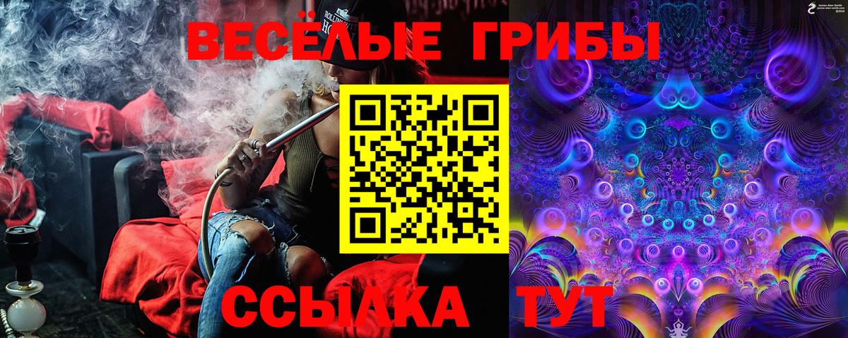 Галлюциногенные грибы прущие грибы Славгород