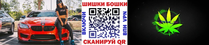 Шишки марихуана планчик  купить наркотики цена  МЕГА рабочий сайт  Славгород 